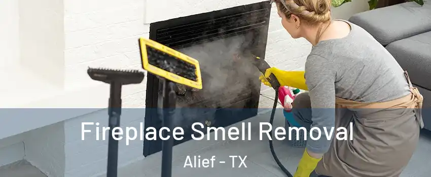 Fireplace Smell Removal Alief - TX