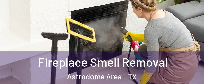 Fireplace Smell Removal Astrodome Area - TX