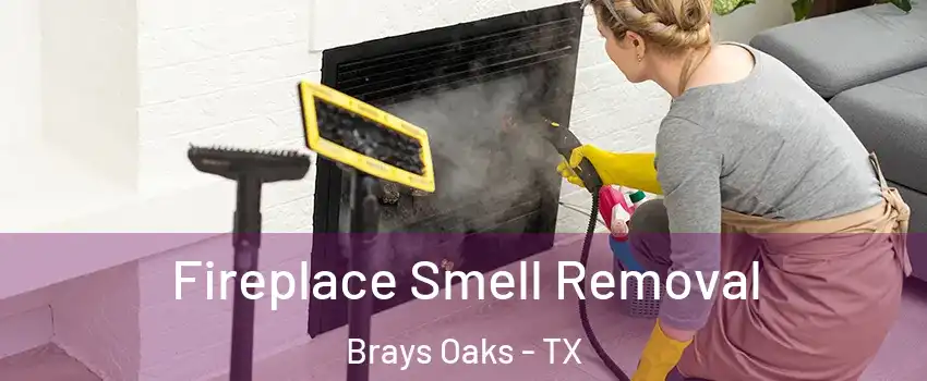 Fireplace Smell Removal Brays Oaks - TX