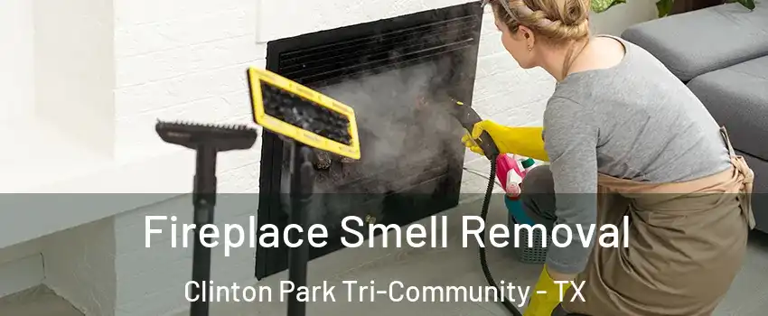 Fireplace Smell Removal Clinton Park Tri-Community - TX