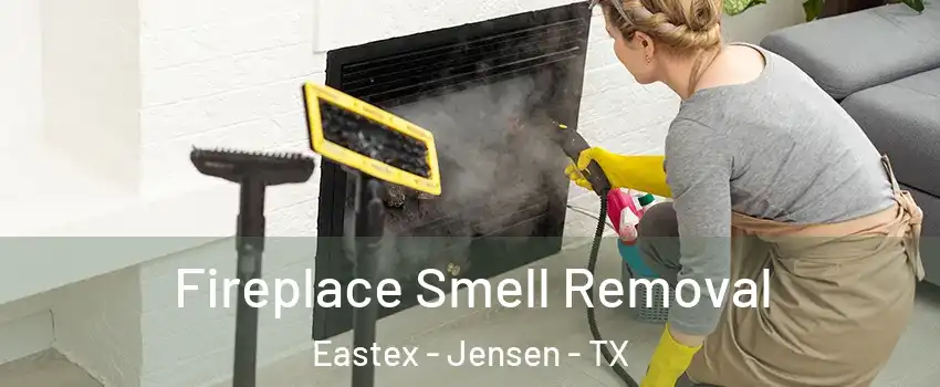 Fireplace Smell Removal Eastex - Jensen - TX