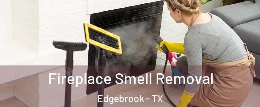 Fireplace Smell Removal Edgebrook - TX