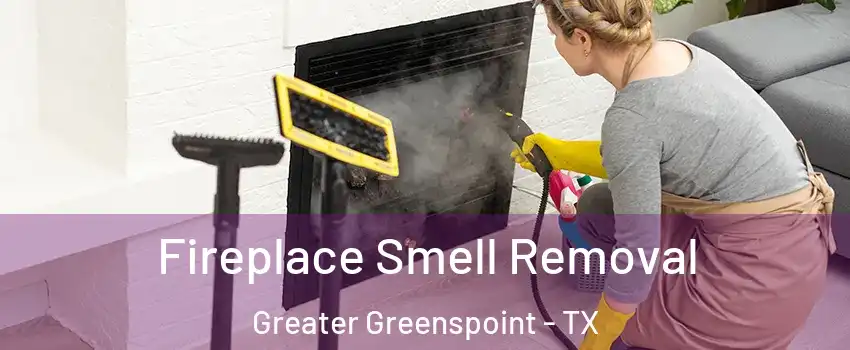 Fireplace Smell Removal Greater Greenspoint - TX