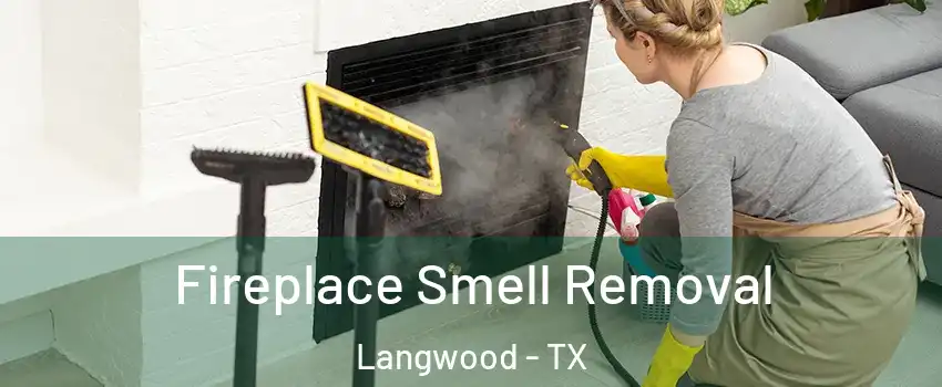 Fireplace Smell Removal Langwood - TX