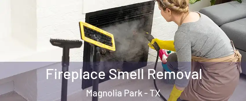 Fireplace Smell Removal Magnolia Park - TX