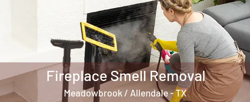 Fireplace Smell Removal Meadowbrook / Allendale - TX