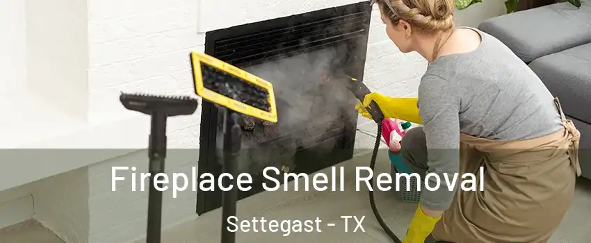 Fireplace Smell Removal Settegast - TX