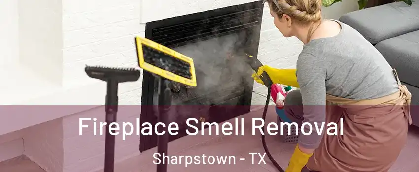 Fireplace Smell Removal Sharpstown - TX