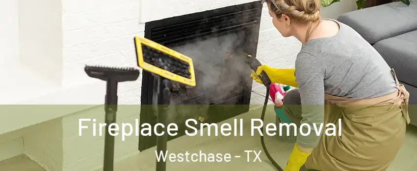 Fireplace Smell Removal Westchase - TX