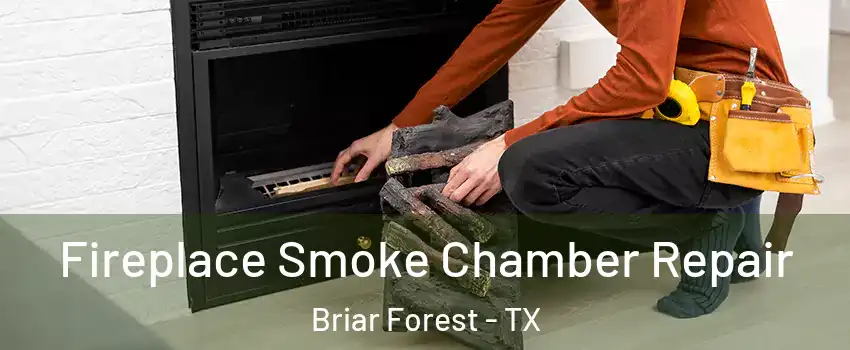 Fireplace Smoke Chamber Repair Briar Forest - TX