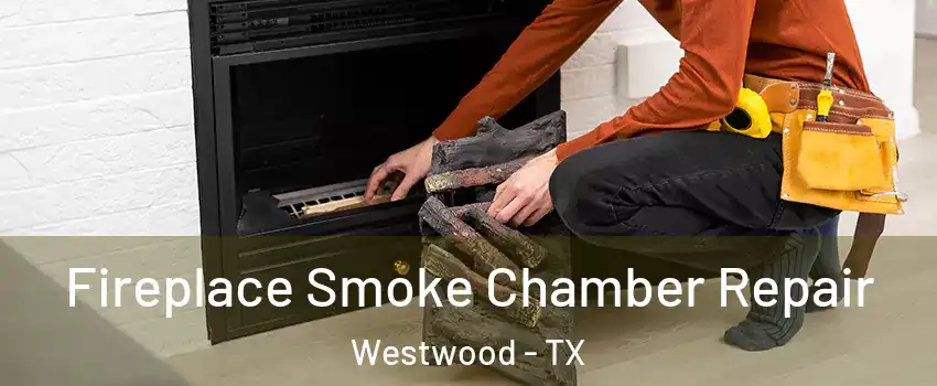 Fireplace Smoke Chamber Repair Westwood - TX