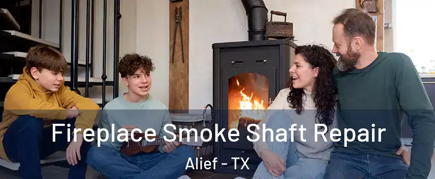 Fireplace Smoke Shaft Repair Alief - TX