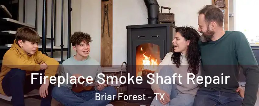 Fireplace Smoke Shaft Repair Briar Forest - TX