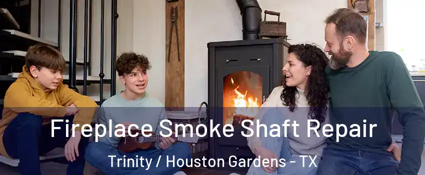 Fireplace Smoke Shaft Repair Trinity / Houston Gardens - TX