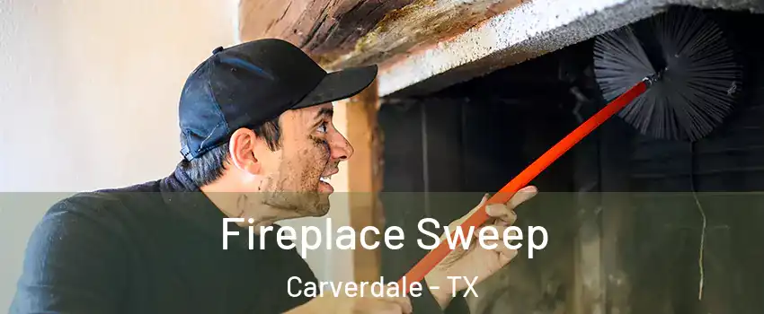 Fireplace Sweep Carverdale - TX