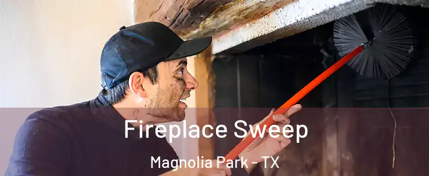 Fireplace Sweep Magnolia Park - TX