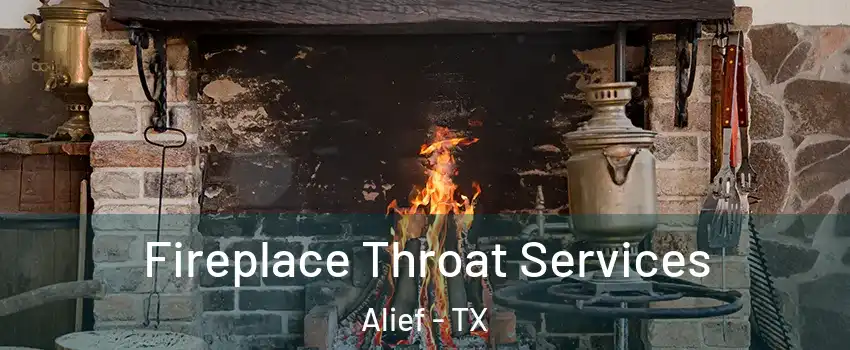 Fireplace Throat Services Alief - TX