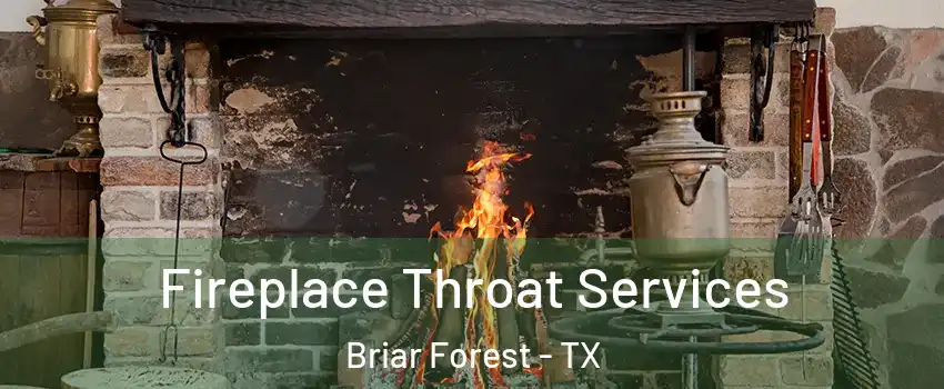 Fireplace Throat Services Briar Forest - TX