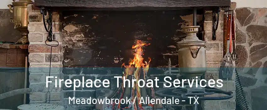 Fireplace Throat Services Meadowbrook / Allendale - TX