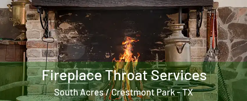 Fireplace Throat Services South Acres / Crestmont Park - TX