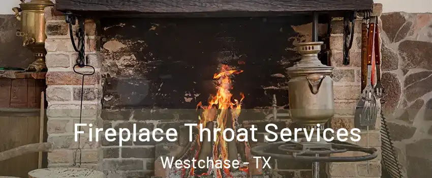 Fireplace Throat Services Westchase - TX