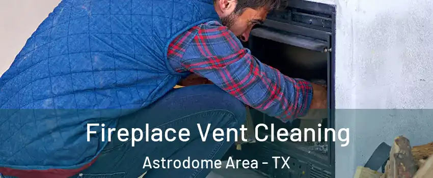 Fireplace Vent Cleaning Astrodome Area - TX