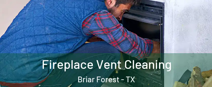 Fireplace Vent Cleaning Briar Forest - TX