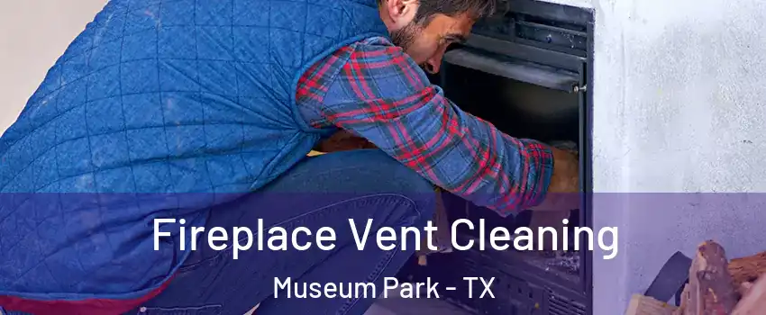 Fireplace Vent Cleaning Museum Park - TX