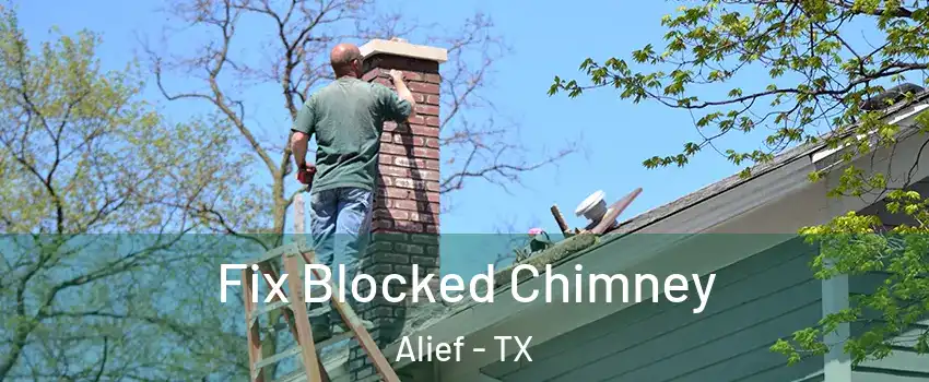 Fix Blocked Chimney Alief - TX