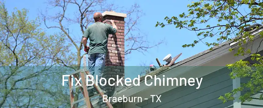 Fix Blocked Chimney Braeburn - TX