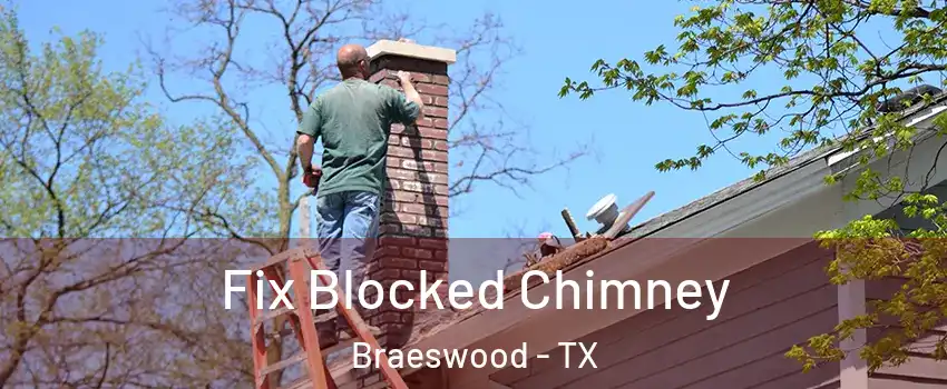 Fix Blocked Chimney Braeswood - TX