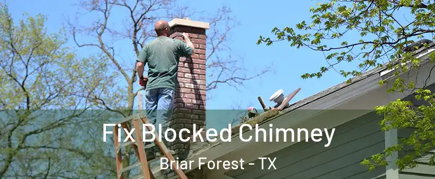 Fix Blocked Chimney Briar Forest - TX