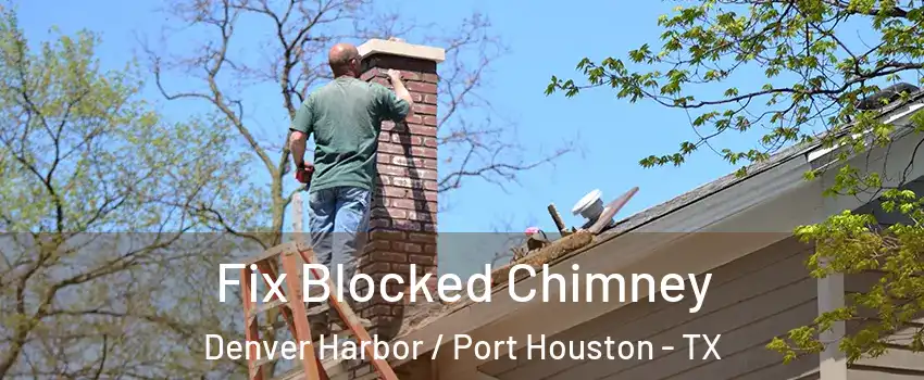 Fix Blocked Chimney Denver Harbor / Port Houston - TX