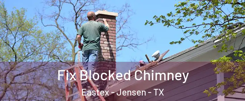 Fix Blocked Chimney Eastex - Jensen - TX