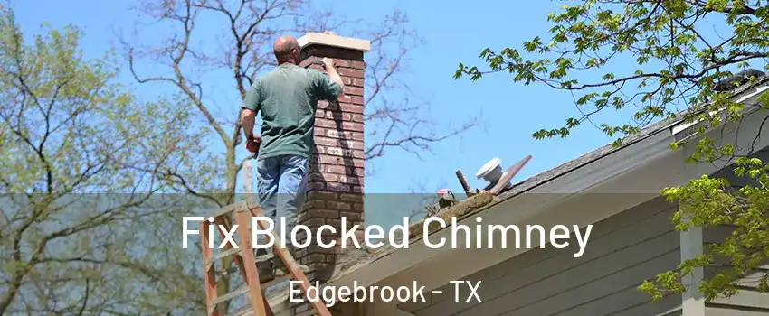 Fix Blocked Chimney Edgebrook - TX