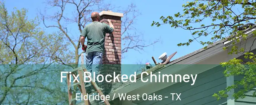 Fix Blocked Chimney Eldridge / West Oaks - TX