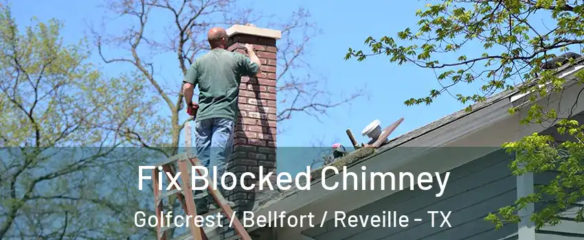 Fix Blocked Chimney Golfcrest / Bellfort / Reveille - TX
