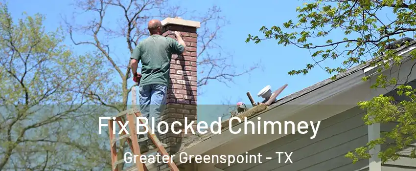 Fix Blocked Chimney Greater Greenspoint - TX