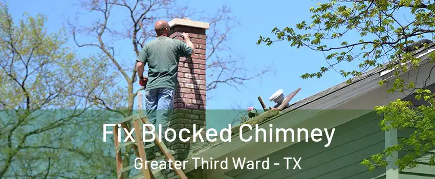 Fix Blocked Chimney Greater Third Ward - TX