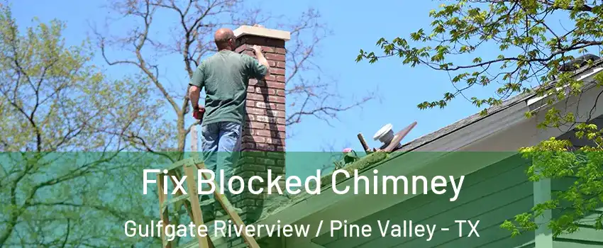 Fix Blocked Chimney Gulfgate Riverview / Pine Valley - TX