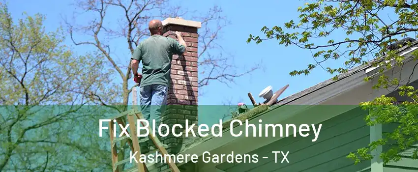 Fix Blocked Chimney Kashmere Gardens - TX