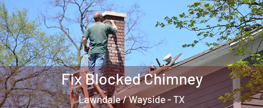 Fix Blocked Chimney Lawndale / Wayside - TX