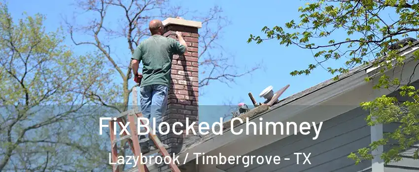 Fix Blocked Chimney Lazybrook / Timbergrove - TX