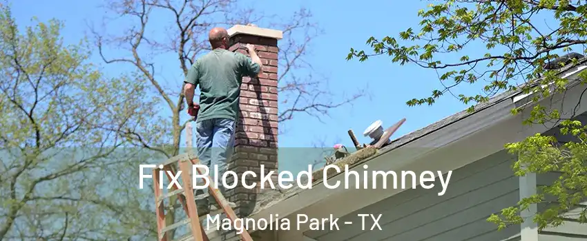 Fix Blocked Chimney Magnolia Park - TX