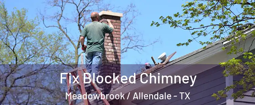 Fix Blocked Chimney Meadowbrook / Allendale - TX