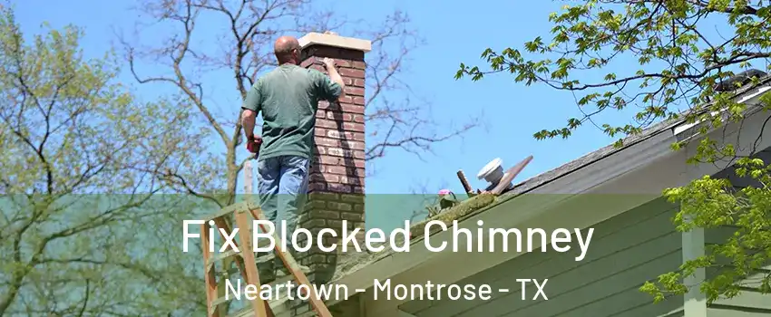 Fix Blocked Chimney Neartown - Montrose - TX
