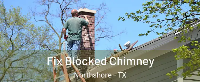 Fix Blocked Chimney Northshore - TX