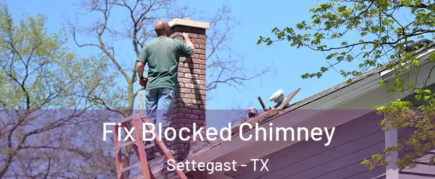 Fix Blocked Chimney Settegast - TX