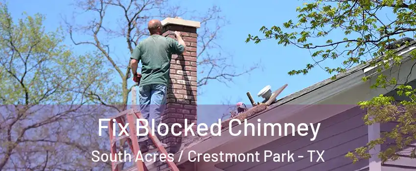 Fix Blocked Chimney South Acres / Crestmont Park - TX
