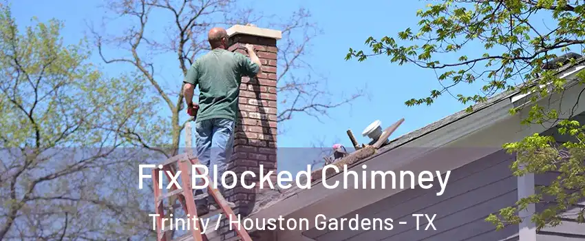 Fix Blocked Chimney Trinity / Houston Gardens - TX